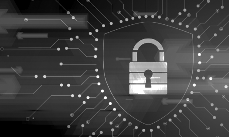 Sicurezza in rete immagine decorativa